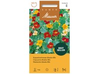 Kapuzinerkresse Alaska Mix Kapuzinerkresse Alaska Mix