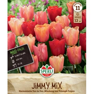 Sperli Triumph-Tulpen Jimmy Mix, Blumenzwiebeln in Orange, Rosa und Rot für Beet und Kübel.