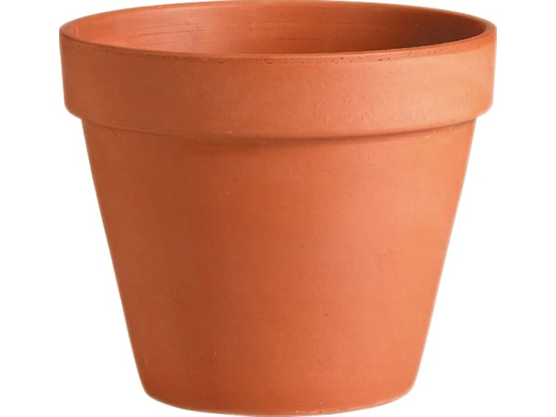 Something Different Vaso In Terracotta Rossa Con Motivo Ape – 11x8,5 Cm, Foro Di Drenaggio, Per Piante Grasse - 4