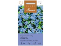 Vergissmeinnicht niedrig Indigoblau