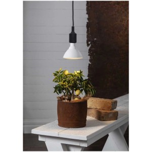 Ampoule LED Star Trading Plant Light E27, lumière blanche chaude pour plantes.