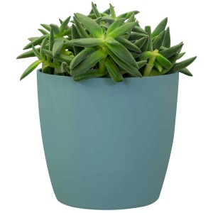 Blauer, runder Übertopf Brussels (Ø 18 cm) mit grüner Pflanze.
