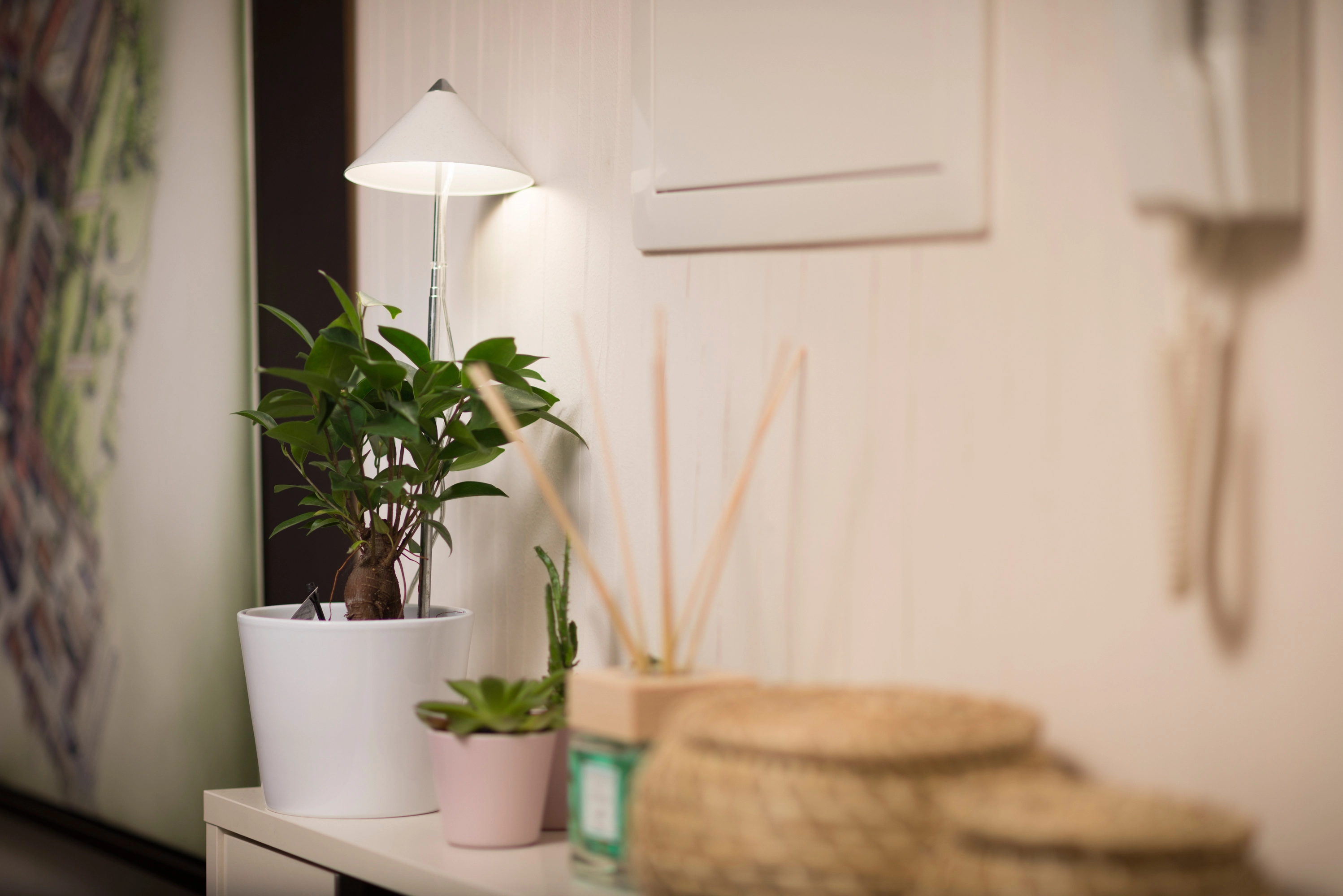 Lampe pour plantes LED Sunlite Blanc 7 W