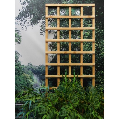 Rankgitter in Lärche Rechteckform (HxBxT) 180 x 67 x 30 cm