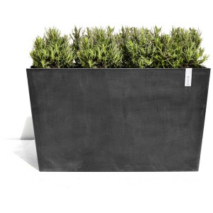 Fioriera Ecopots Paris Wheels grigio scuro con ruote, piantata con piante verdi.