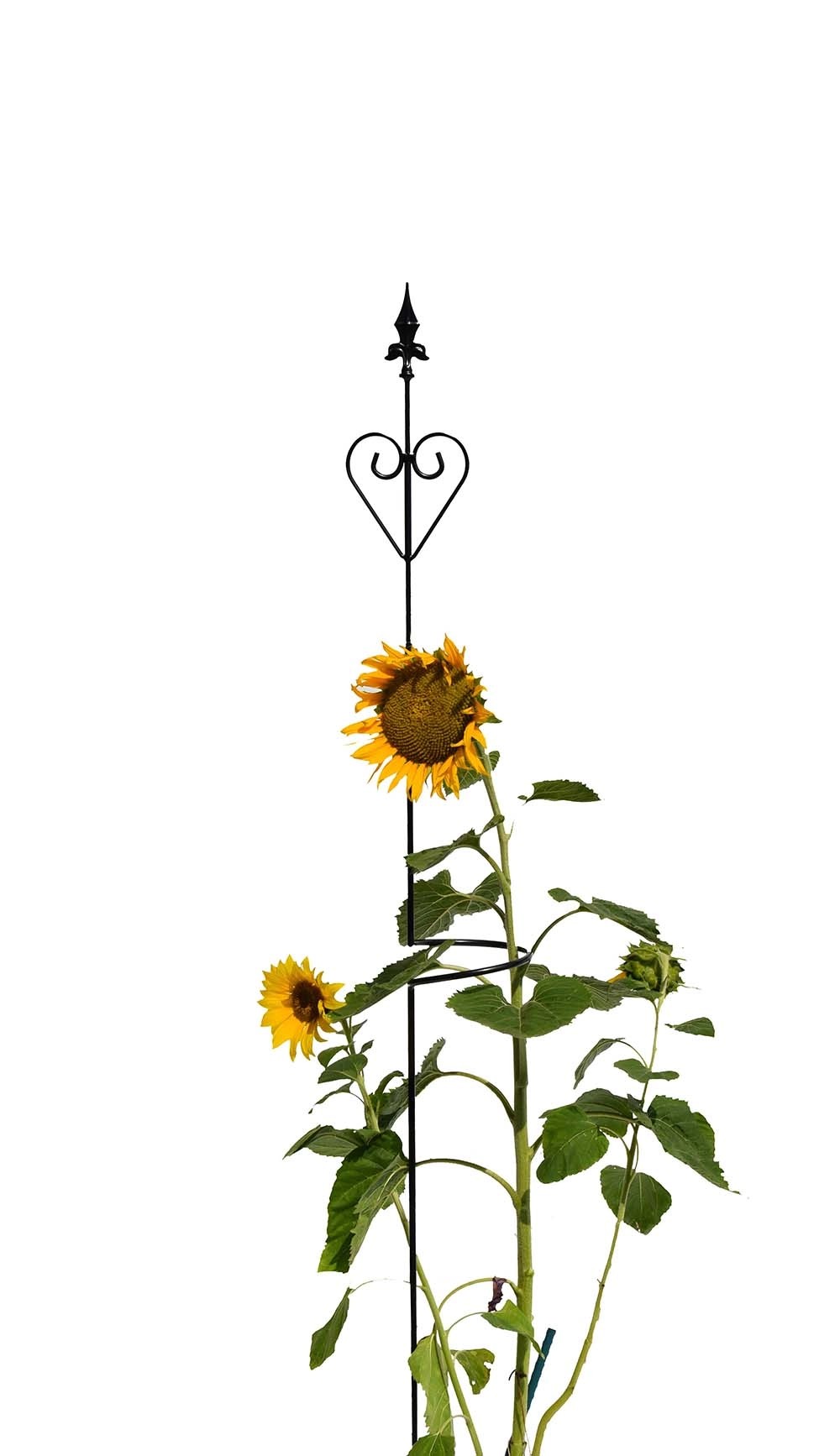 Ringstab Honey Lava-Grau Höhe 180 cm kaufen bei OBI