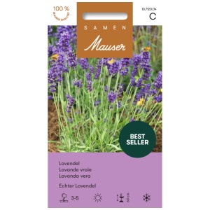 Echter Lavendel