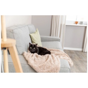 Couverture Trixie Cosy beige sur canapé avec chat, 150x100cm. Idéale comme couverture pour chien ou chat.
