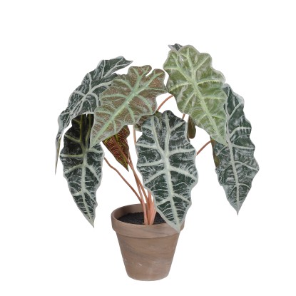 Mica Decorations Kunstpflanze Alocasia Grün Topf Ø 36 cm / Höhe 44 cm