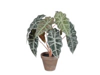 Mica Decorations Kunstpflanze Alocasia Grün Topf Ø 36 cm / Höhe 44 cm