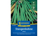 Kiepenkerl Stangenbohnen Cobra