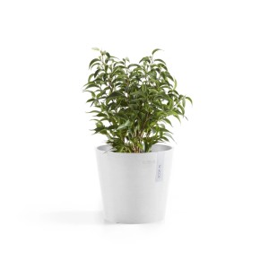 Ecopots Amsterdam Mini, pot de fleurs blanc (17x14,9cm) avec plante verte, pour intérieur.