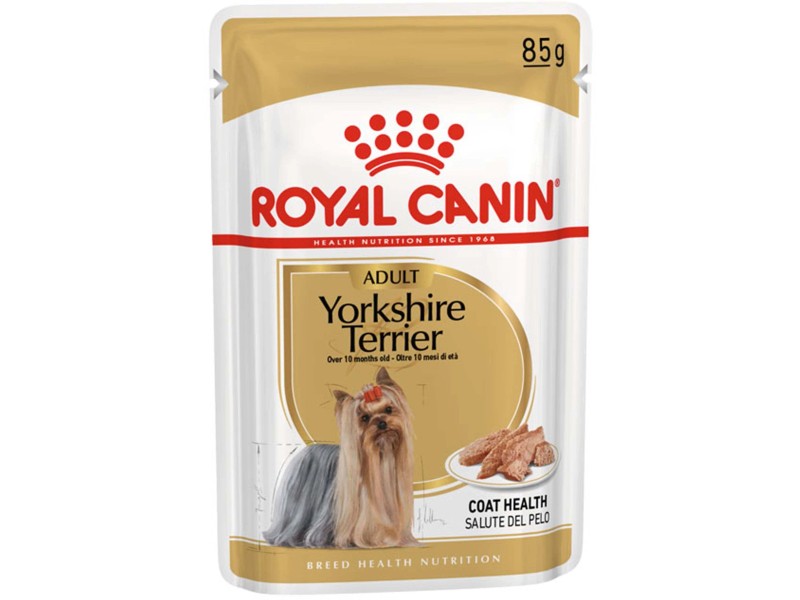 Hundefutter Yorkshire Terrier Test