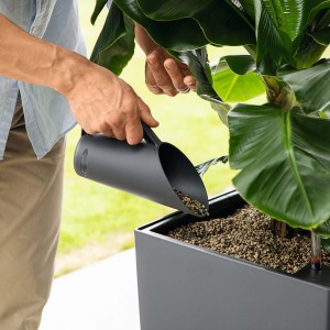 Pelle Lechuza Pon gris ardoise versant du substrat dans un pot.