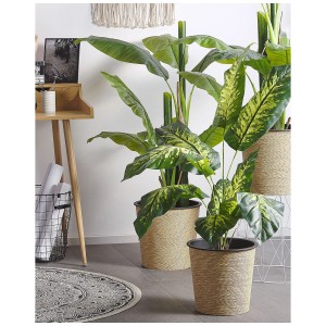 Pianta artificiale Dieffenbachia, alta 122 cm, in vaso. Pianta decorativa per un ambiente tropicale.