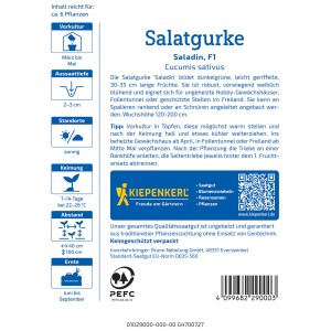 Graines de concombre à salade Kiepenkerl Saladin F1 pour 6 plantes, paquet.