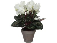 Mica Decorations Kunstpflanze Zyklamen Weiss Topf Ø 30 cm / Höhe 30 cm