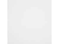 Kunststoffplatte Guttagliss Hobbycolor Weiss 50 x 25 cm