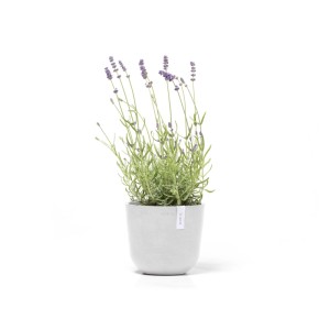 Pot de fleurs blanc Ecopots Oslo Mini avec lavande. Idéal pour l'intérieur et l'extérieur.