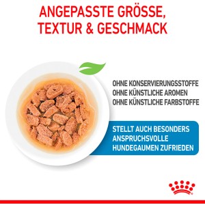Royal Canin Mini Puppy cibo umido in ciotola, adatto per cuccioli di piccola taglia fino a 10 kg.