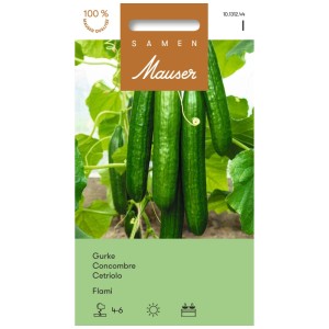 Samen Mauser Graines de concombre Flami ProfiLine : Concombres vert foncé sur la plante.