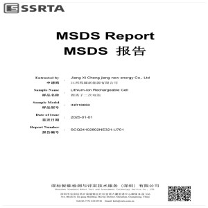 Rapporto MSDS per batteria agli ioni di litio del compressore d'aria Starlyf.