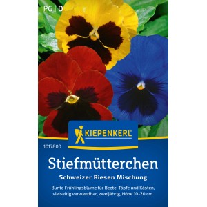 Mélange de pensées Kiepenkerl Swiss Giants avec des fleurs jaunes, rouges et bleues.