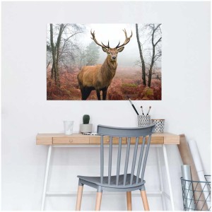 Maxiposter: Hirsch im Wald, 61x91,5 cm. Detailreiches Poster mit Hirschmotiv für Wohnraumgestaltung.