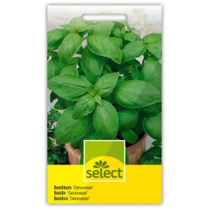 Sachet de graines de basilic Genovese avec plante verte en pot.