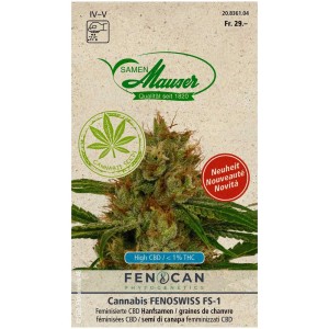 Semi di canapa Cannabis Fenoswiss FS-1 (3 pz.) con crescita cespugliosa e profilo terpenico floreale-erbaceo.