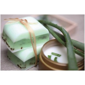 Glycerin-Seife Öko Transparent Aloe Vera, 1500g, mit Aloe Vera und Deko.
