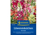 Kiepenkerl Löwenmäulchen-Mischung Serenade Kiepenkerl Löwenmäulchen-Mischung Serenade