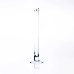 Vaso Solifleur in vetro Sandra Rich, trasparente, alto e sottile, 30 cm, per fiori singoli.