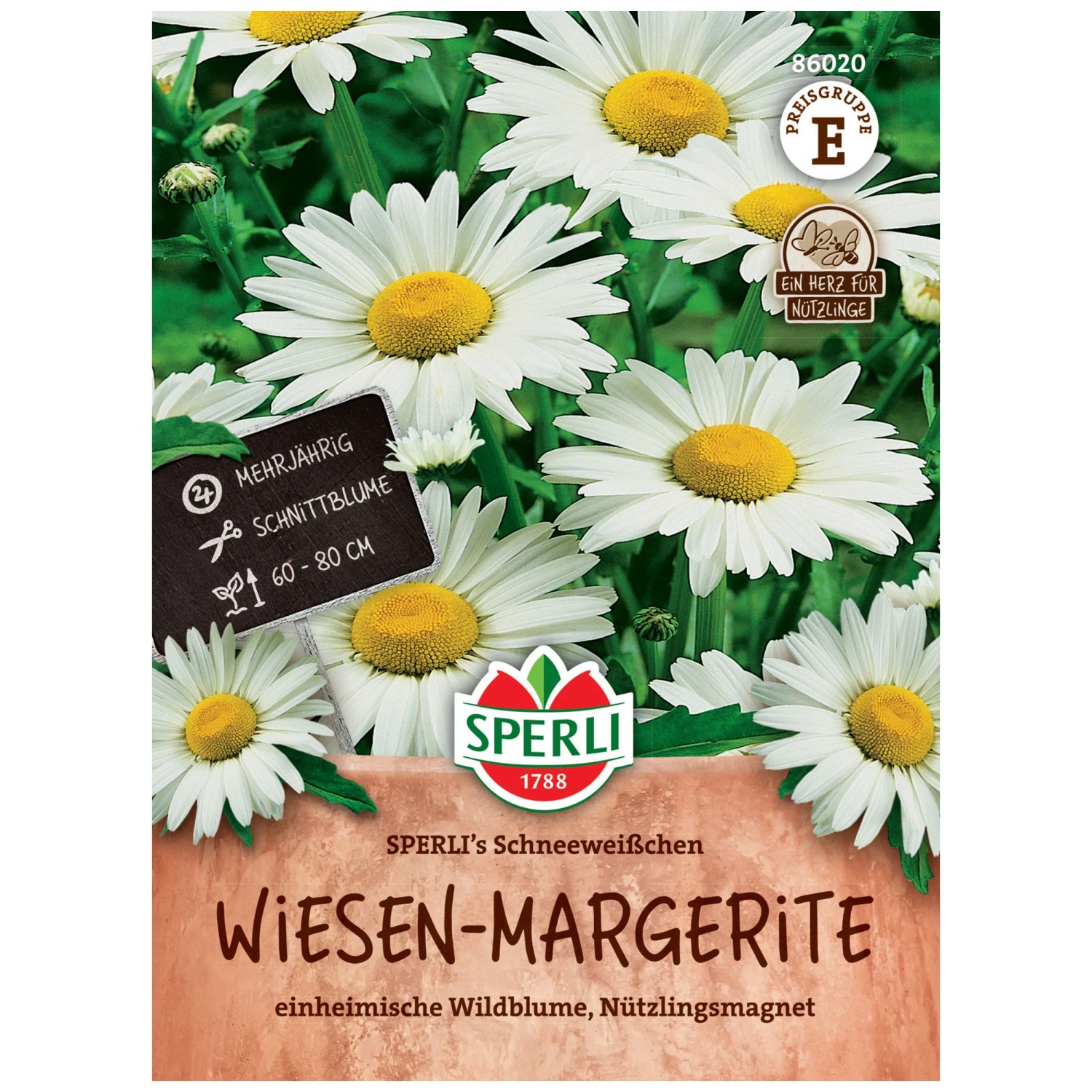saatgut blumen kaufen Saatgut-Set Sonnenblumen online Gartenpflanze kaufen