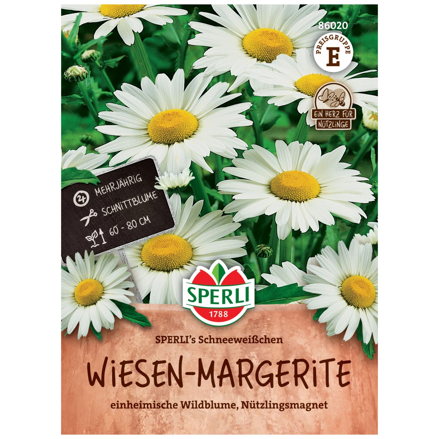 Sperli Saatgut WiesenMargerite Sperli's Schneeweisschen 200 Pflanzen
