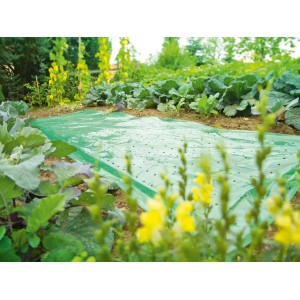 Film de serre vert (10x1,5m) sur potager dans jardin, protection contre intempéries et insectes.