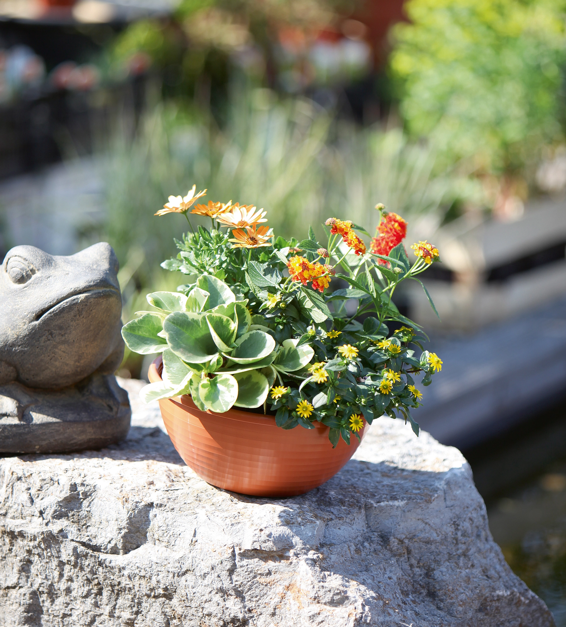 Ciotola in Terracotta, 61cm in vendita su