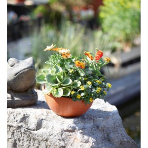 Coupe à plantes Geli en terre cuite Ø 33,5 cm remplie sur pierre, avec fleurs d'été colorées.