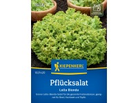 Kiepenkerl Pflücksalat Lollo Bionda