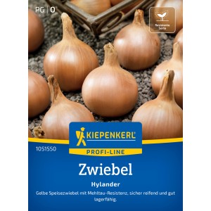 Cipolla da mensa Kiepenkerl 'Hylander' F1-Hybrid, dettaglio di cipolle giallo-marroni.