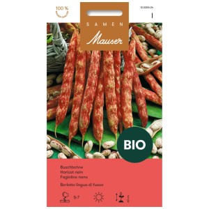Semi di fagiolino nano bio 'Borlotto lingua di fuoco' con baccelli rossi striati.