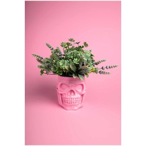 Vernice decorativa per mobili Little Stars color zucchero filato perlato, applicata a un vaso a forma di teschio con piante.