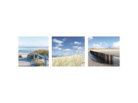 Leinwandbild Canvas Set Seashore 3x (HxB) 30 x 30 cm / 3-tgl.