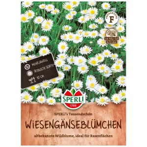 Sperli Pâquerette des prés Tausendschön, multicolore. Graines de fleurs pour pelouses et jardins naturels.