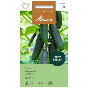 Sachet de graines de concombre Mauser Adrian F1, concombres verts et croquants sur la plante.