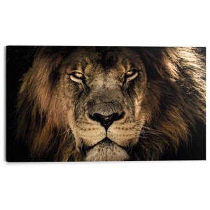 Pannello decorativo Dark Lion, 70x118 cm, quadro MDF con leone per interni.