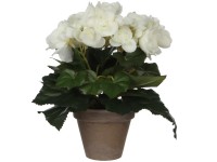 Mica Decorations Kunstpflanze Begonie Weiss Topf Ø 20 cm / Höhe 25 cm