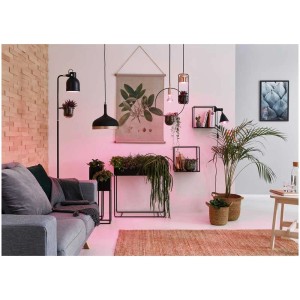 Lampada per piante a LED Paulmann Grow Green E27 in soggiorno con piante e illuminazione coordinata.