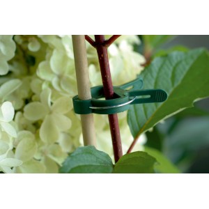 Clips pour plantes vertes (20 pièces) en 3 tailles fixant une plante à un bâton dans le jardin.