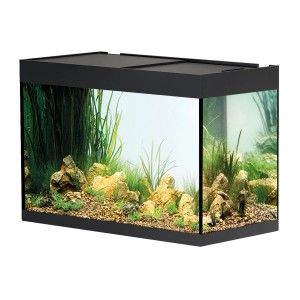 Aquarium noir Oase StyleLine 175 avec plantes et pierres.